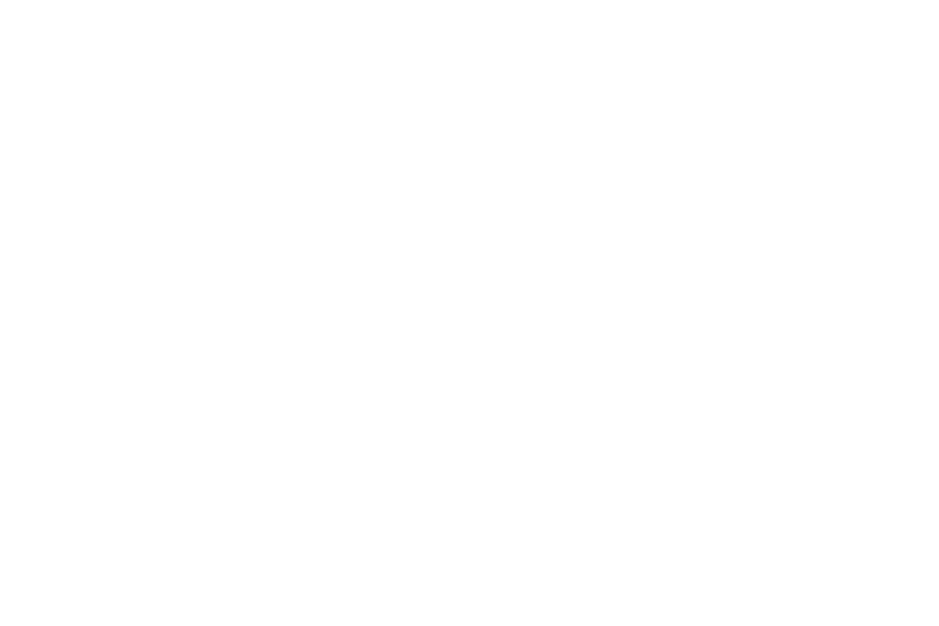 Mega Cat Studios